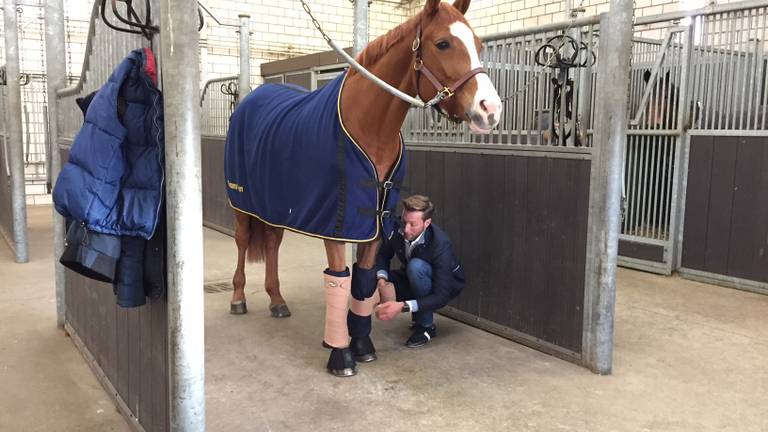 Ook paarden hebben extra zorg nodig rond het knallende oud-op-nieuw