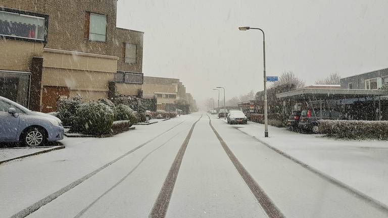 Brabant Bedekt Onder Dik Pak Sneeuw Foto S Omroep Brabant