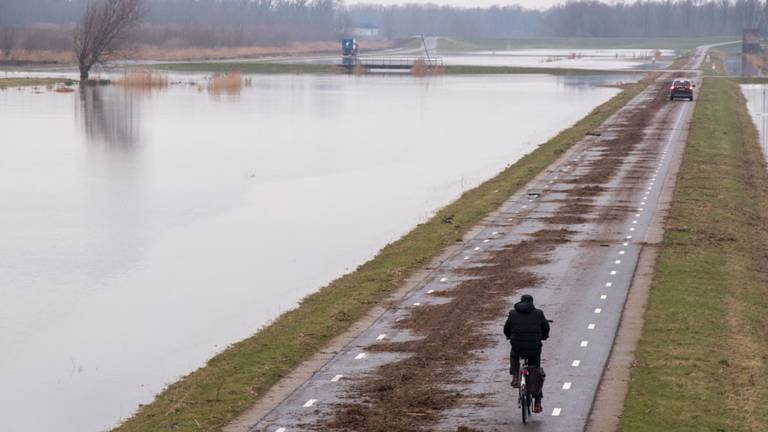 Rotzooi blijft achter nadat Het waterpeil in de Biesbosch daalt. ( Foto:Jurgen Versteeg/ GinoPress B.V.)