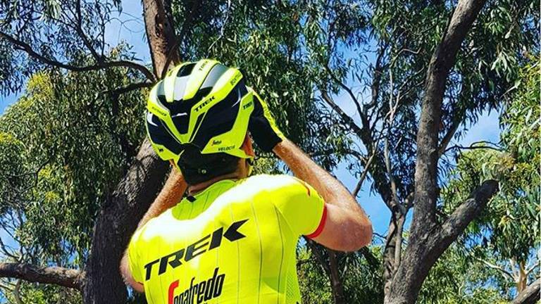 Koen de Kort fotografeert koals's in een boom. (Foto: Koen de Kort/Instagram)