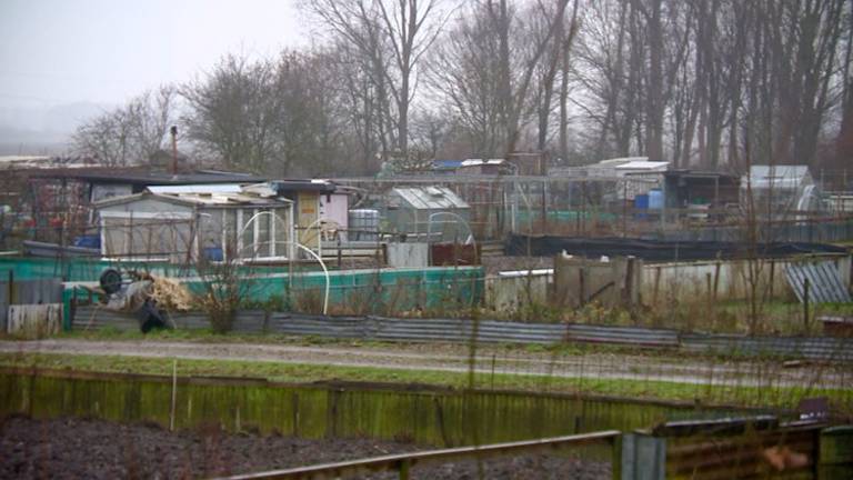 De volkstuin in Zevenbergen