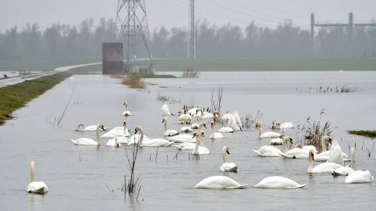 Omroep Brabant