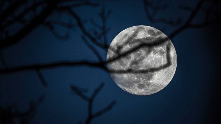 Het was een koude nacht in Woensdrecht. (Foto:Rob Engelaar)