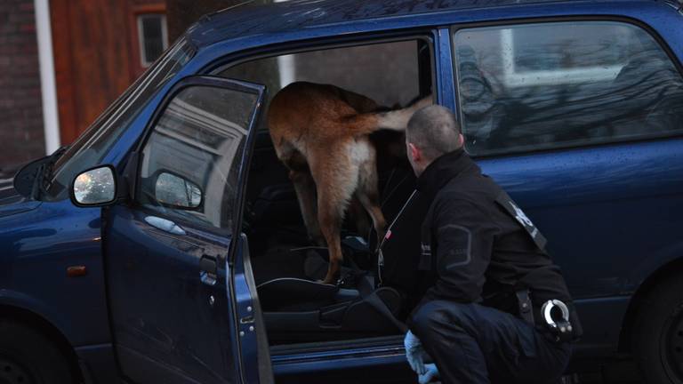 Een hond inspecteert een auto (Foto: Perry Roovers).