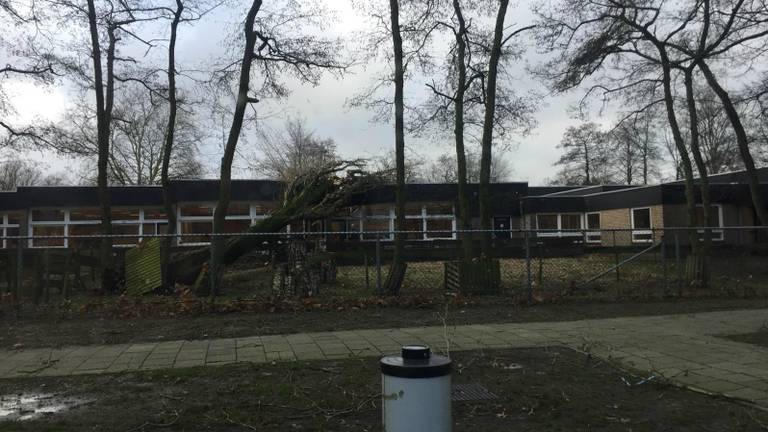 De boom belandde op het klaslokaal van groep 8. (Foto: Erik Emmen)