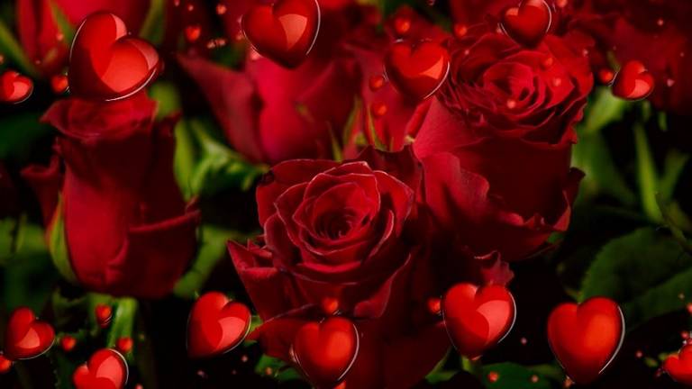 Rode rozen op Valentijnsdag