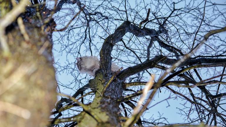 Hoog maar niet droog. (Foto: De Kort Media)