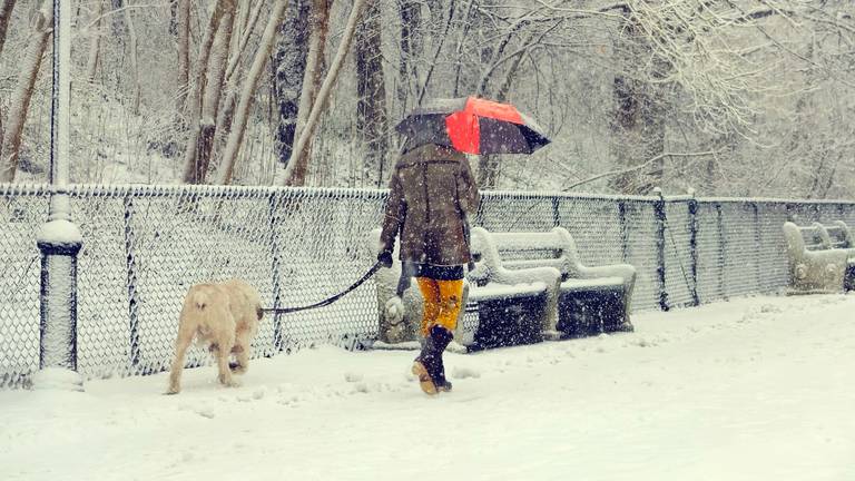 De meteorologen verwachten voor komend weekend weer sneeuw. Hoeveel centimeter er precies uit de lucht valt, is nog niet duidelijk. (Archieffoto: Rawle C. Jackman/Flickr)