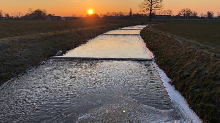 Het buitengebied tussen Helmond en Bakel (foto: Alice van der Plas)