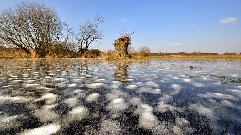 Omroep Brabant