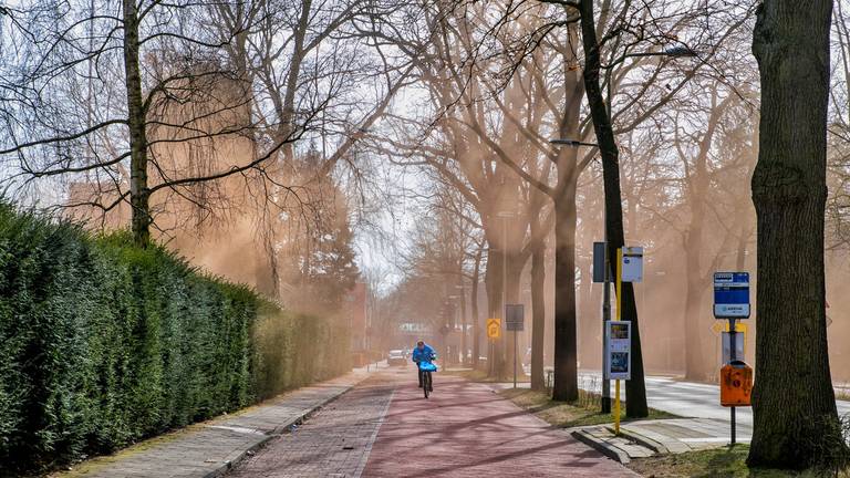 De mysterieuze stofwolk. (Foto: Toby de Kort)