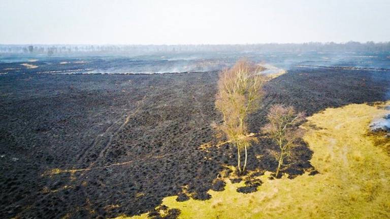 Het gebied waar eerder brand woedde. (Foto: Gabor Heeres/SQ Vision)