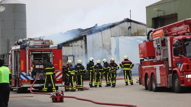 Aan de Noordlangeweg in Willemstad kwamen afgelopen maart meer dan 26.000 kippen om bij een brand. (Foto: Christian Traets / SQ Vision)