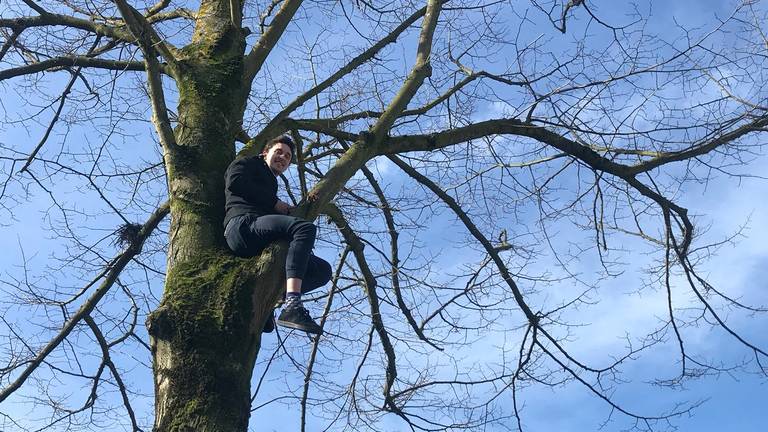 Dexter klom maandagochtend in een boom om het kappen tegen te houden.