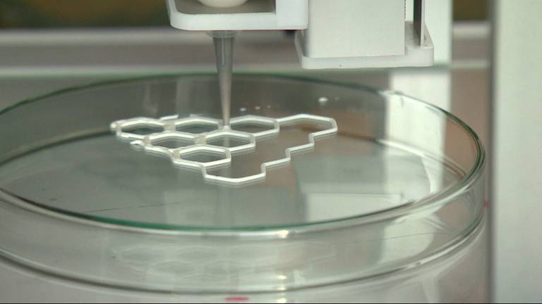 3D-printer Focus in actie