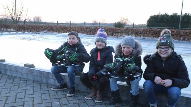 Teun, Gieske, Stan en Cas hebben zelf een schaatsbaan gebouwd. (Foto: Bart Meesters/Meesters Multi Media)