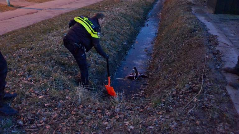 De agenten schoten te hulp (foto: Toby de Kort)