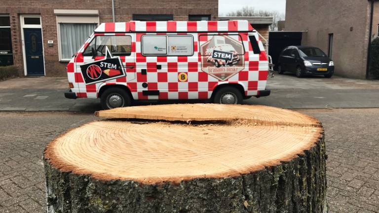 De laan zonder bomen, maar met Buske