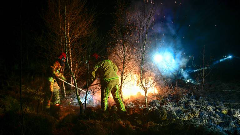 Een gebied van drie voetbalvelden groot stond in brand. (Foto: SQ Vision)