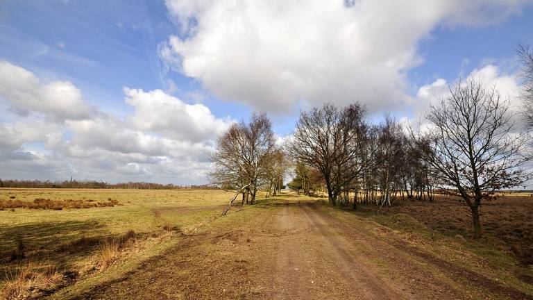 Woensdag kregen we al een voorproefje van het mooie weer, ook in Budel (Foto: Ben Saanen).