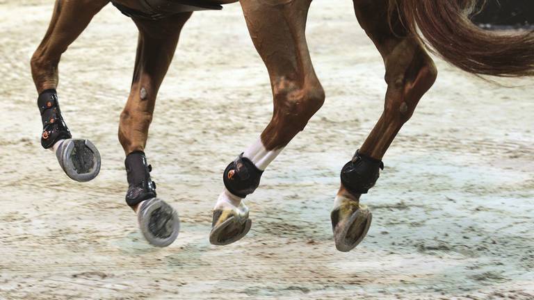 Indoor Brabant (Foto: VI Images)