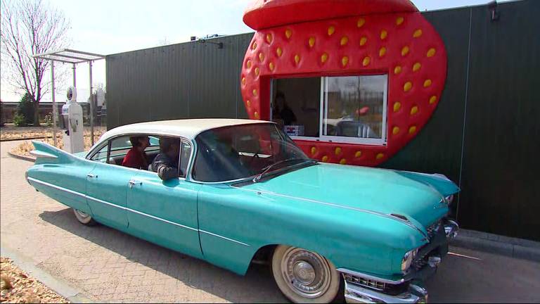 De Aardbeien Drive-in werd vandaag feestelijk geopend