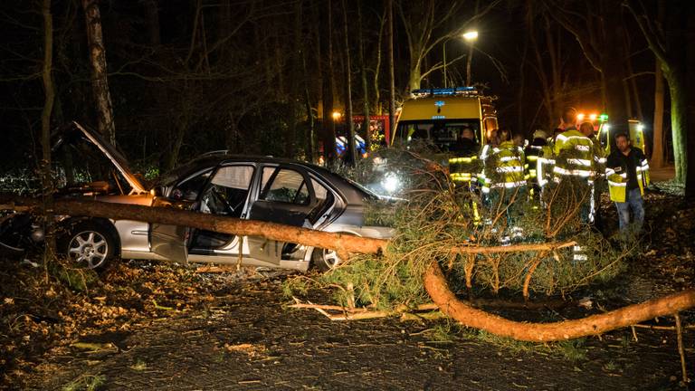 De auto kwam tot stilstand tegen een boom (foto: Jack Brekelmans - Persburo BMS).