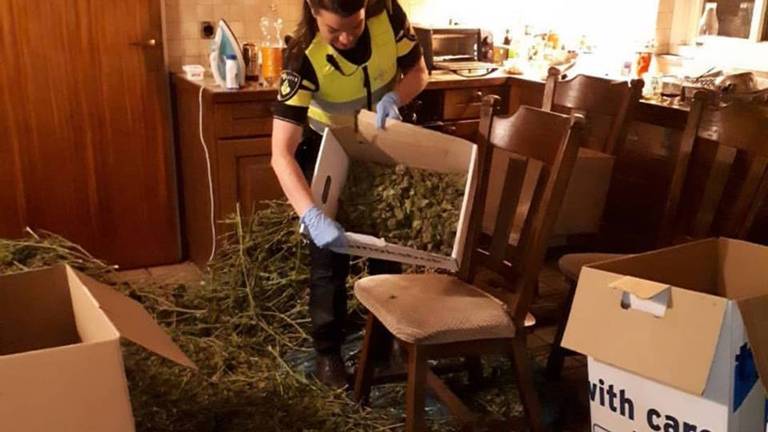 De politie ontdekte de hennepknipperij na een tip. (Foto: Facebook politie Gemert-Bakel en Laarbeek)