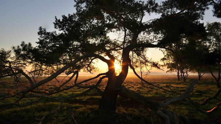 Prachtige zonsopkomst deze morgen in Brabant (foto: Ben Saanen)