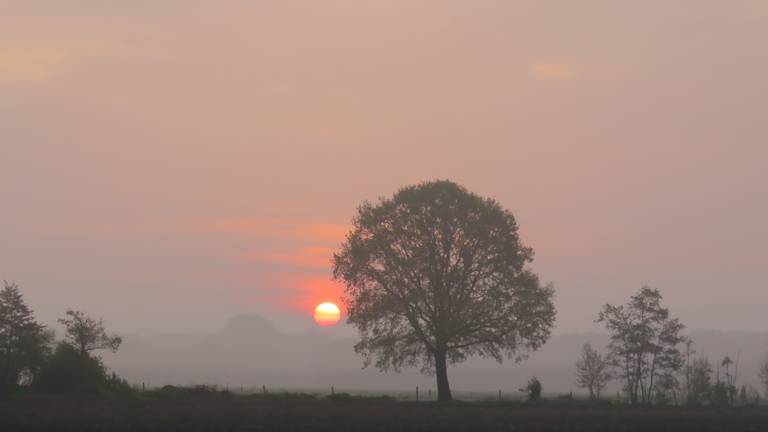 Een saharazand zonsopgang zondag 29 april - Foto: Peter van der Schoot