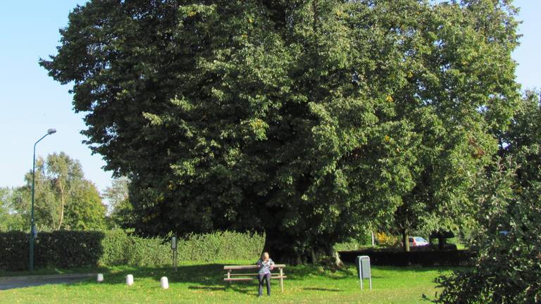 Omroep Brabant