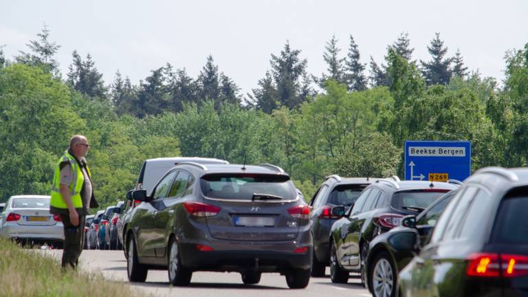 Drukte bij de Beekse Bergen(foto: Toby de Kort)