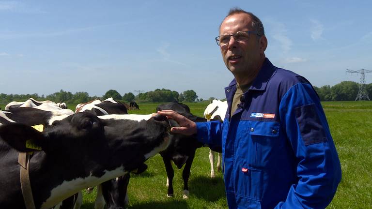 Omroep Brabant