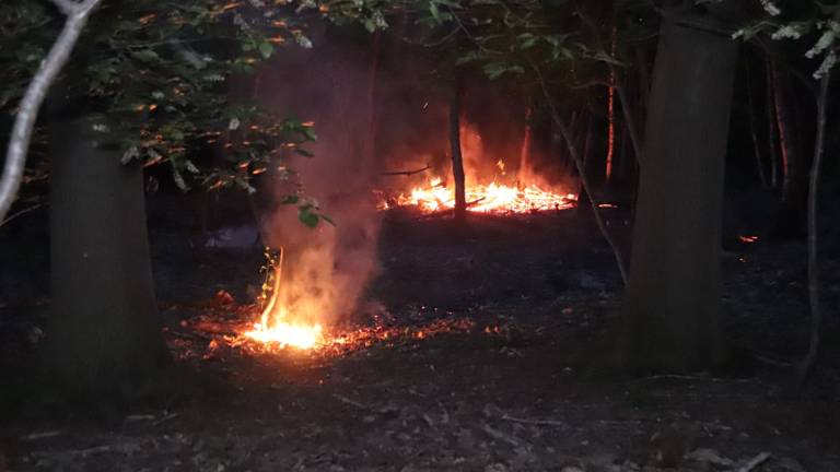 Er zijn verschillende brandhaarden. (Foto: Addy Smits/112journaal)