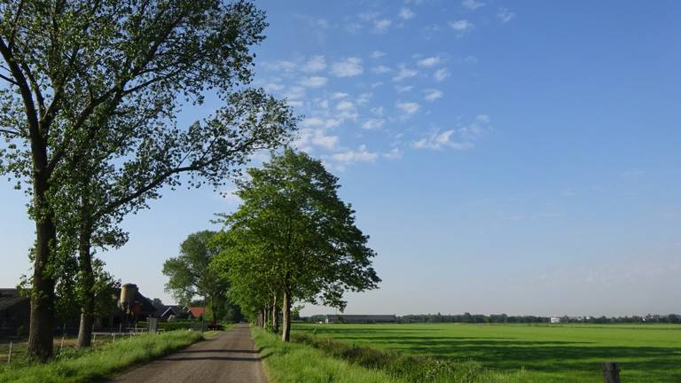 Omroep Brabant