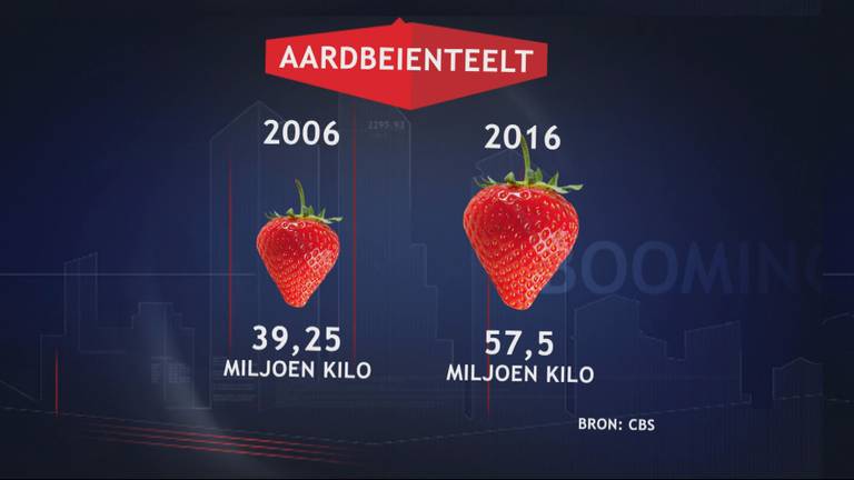 Omroep Brabant