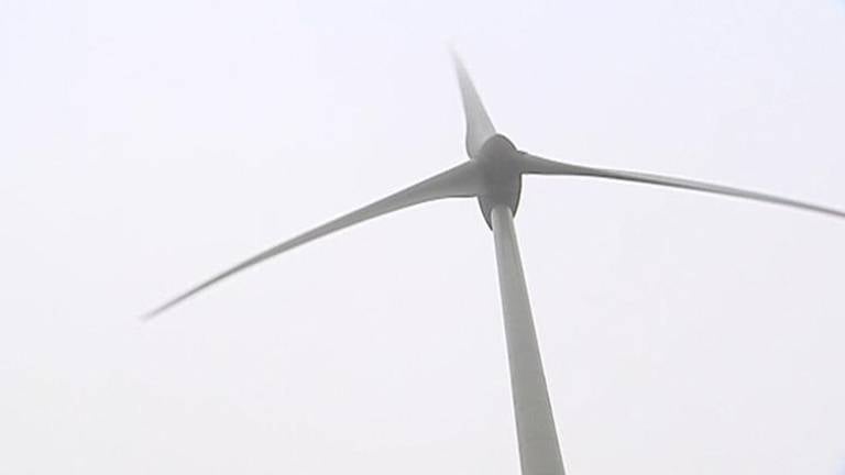 De windmolens in Halsteren moeten ander worden neergezet (archieffoto)