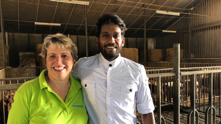 Klasseboerin Wilma Zonnenberg en chef-kok Naresh Ramdjas in de koeienstal in Herpen