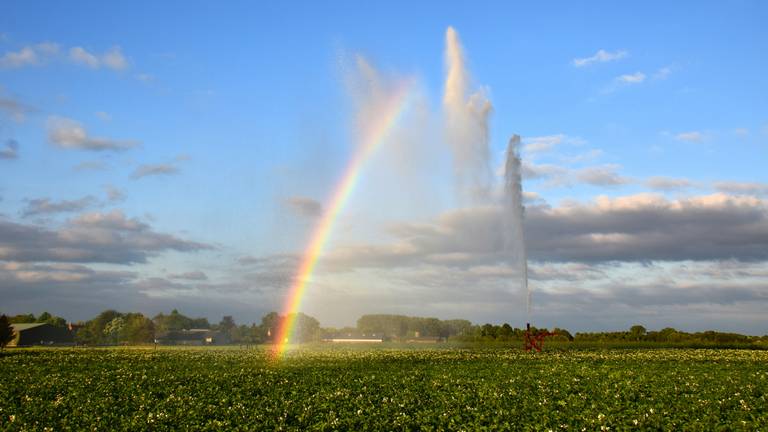 Mooie afsluiting van de lente die droog en warm was. (Foto: Ben Saanen)