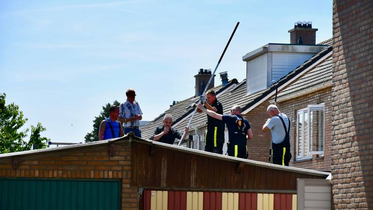 Brandweermensen redden de kat met twee stokken