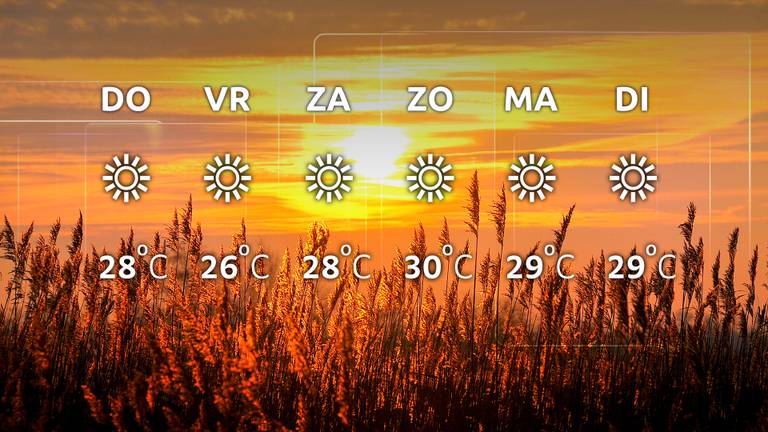 Zon, zon en nog eens zon de komende dagen!