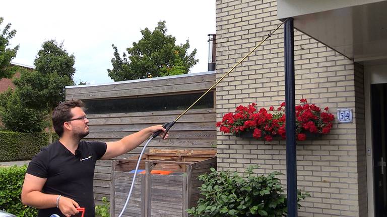 Wespenbestrijder Robin van den Hurk: 'Dit is een kalm volkje'