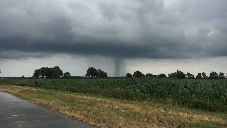 Dat je toch zo blij kunt worden van een regenbuitje! (Foto: Jos Verkuijlen)