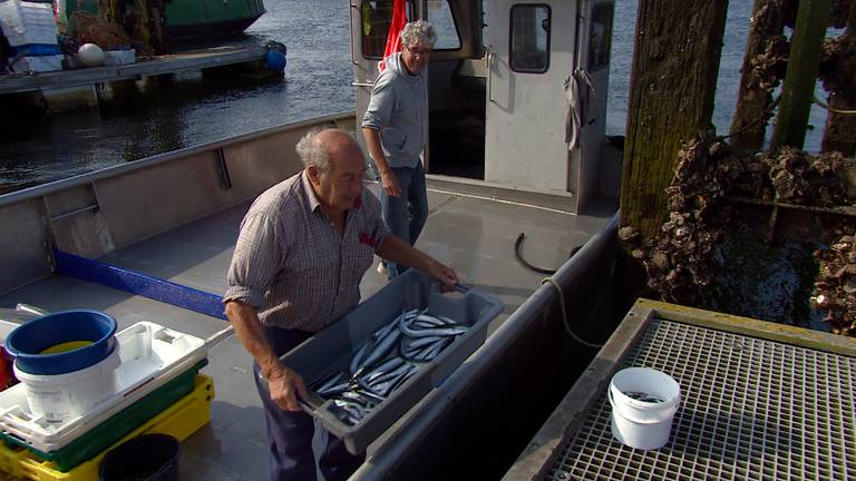 Al meer dan 70 jaar runt Cor van Dort zijn eigen ansjovisvisserij.