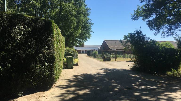 De bewuste boerderij waar de geiten illegaal zijn ondergebracht (foto: Youssef Zerrouk).