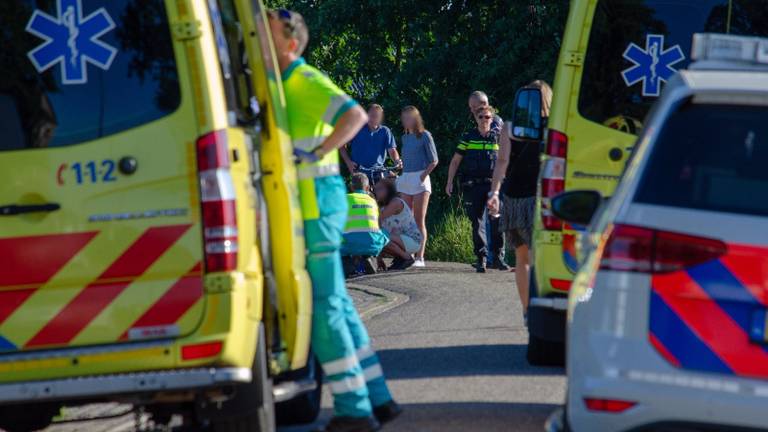 De paarden zouden geschrokken zijn van een hond (foto: Toby de Kort)