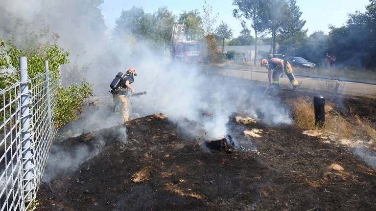 De bermbrand in Helmond was snel onder controle. (Foto: Danny van Schijndel)