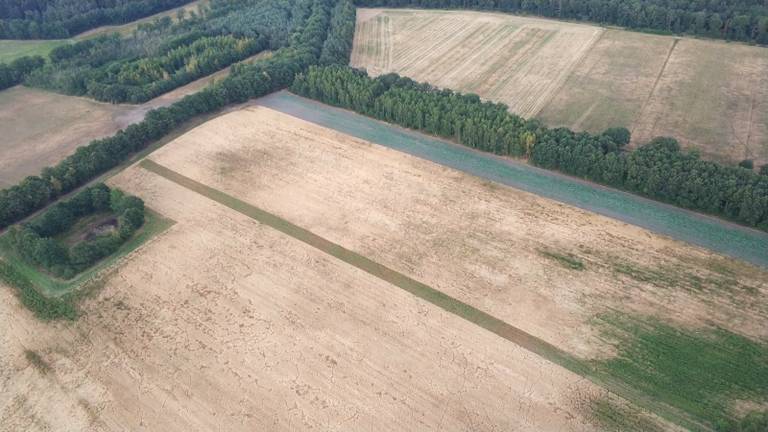 Zo droog is Brabant (Foto: Wim Heesterbeek).