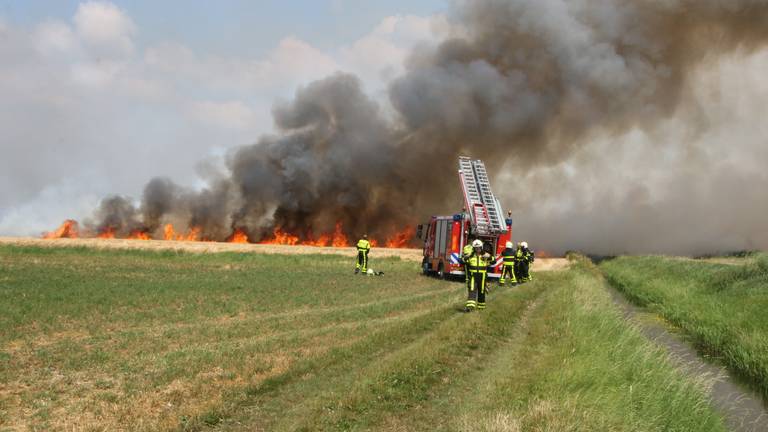 Het graanveld staat in brand. (Foto: GinoPress)