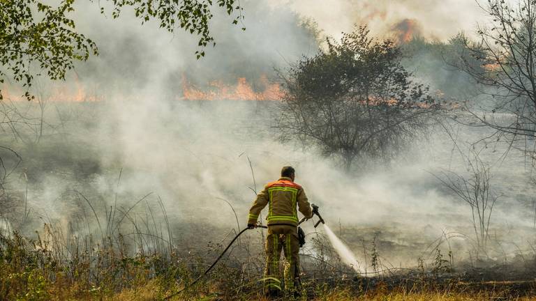 Flinke bermbrand in Helmond (Pim Verkoelen/SQ Vision Mediaprodukties).